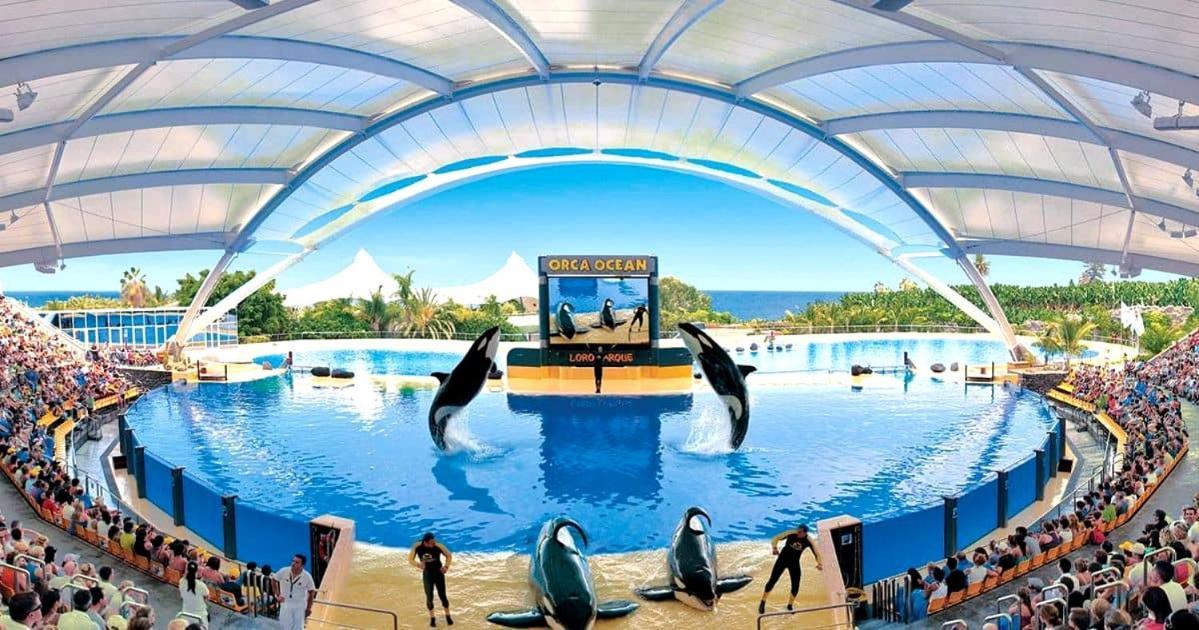 Lujoso Apartamento Completo, Piscina, Terraza Con Vistas Al Teide Puerto de la Cruz  Dış mekan fotoğraf
